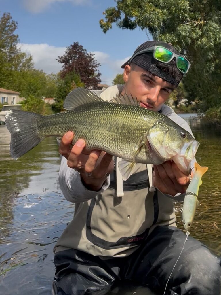 Pêche d'un bass dans les marais Poitevin