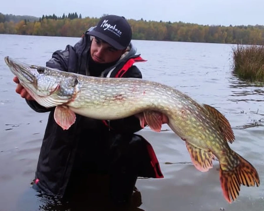 BROC Etang de Meouze Brochet de 97cm prit à l'étang de Méouze