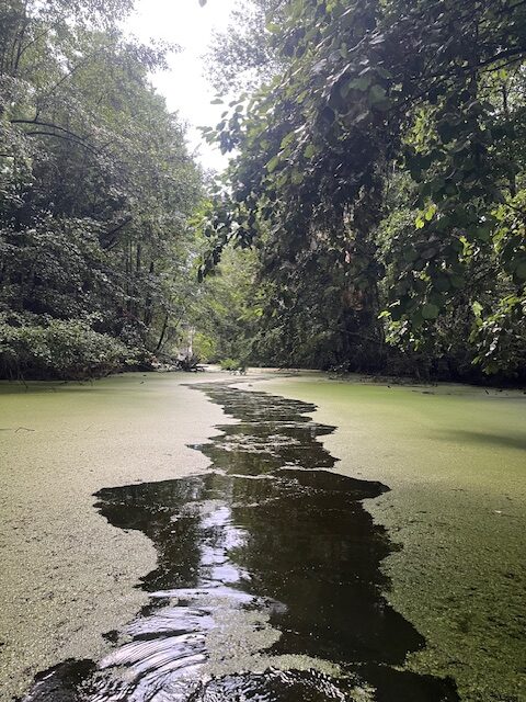 Pêche en float tube dans l'étang des Beaumes 