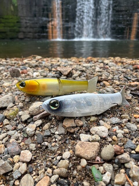 Stage pêche au leurre Vendée 