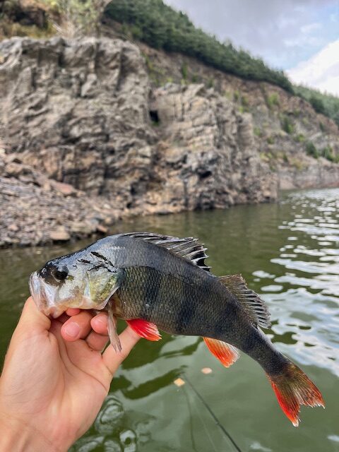 Pêche en float tube dans le département de la Loire 