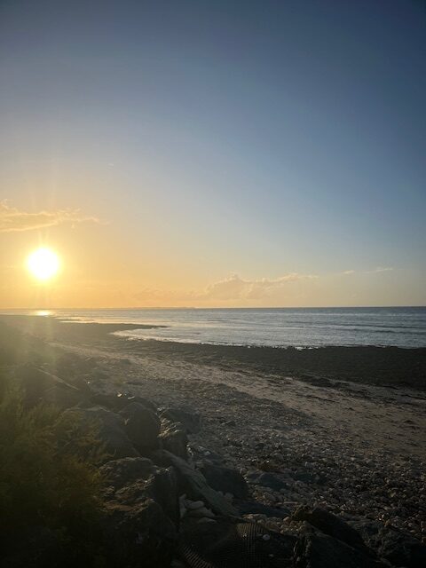 Tables d'huitres sur l'Ile de Ré
