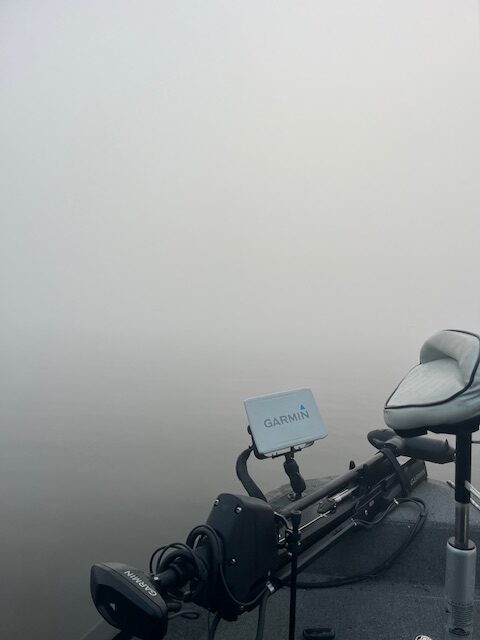 Pêche au leurre en bateau 