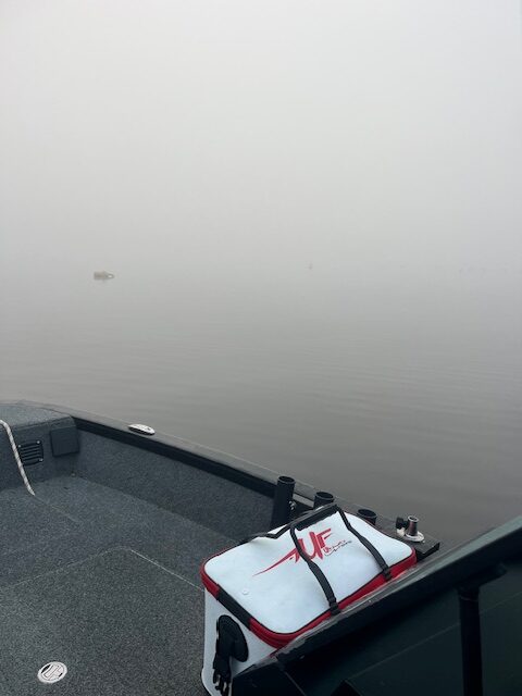 Pêche au leurre en bateau 