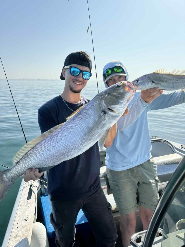 Contact guide de pêche carnassiers Vendée 