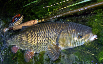 stage de pêche en Vendée