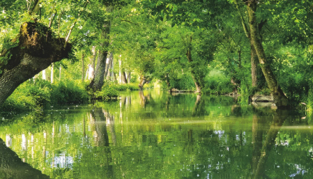 animation pêche au coup
