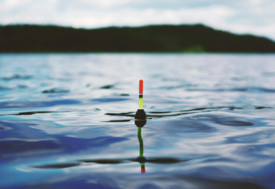 animation pêche au coup